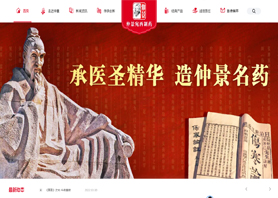 仲景宛西制药股份有限公司