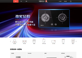 广东太太电器制造有限公司