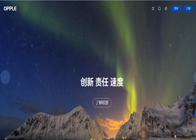 欧普照明股份有限公司